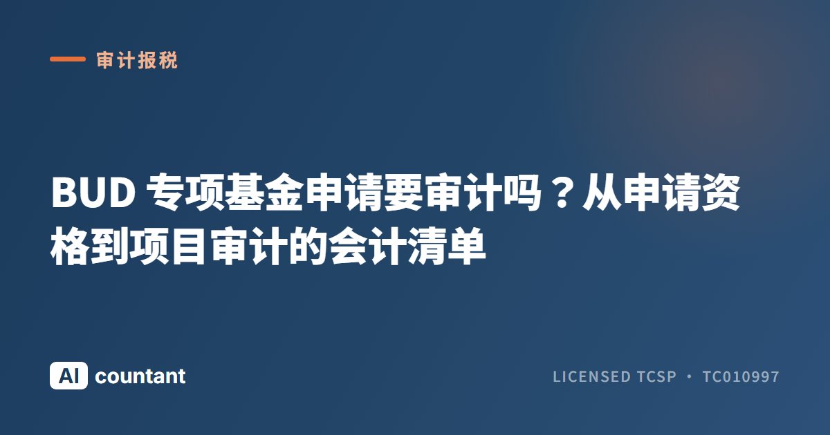 BUD 专项基金申请要审计吗？从申请资格到项目审计的会计清单